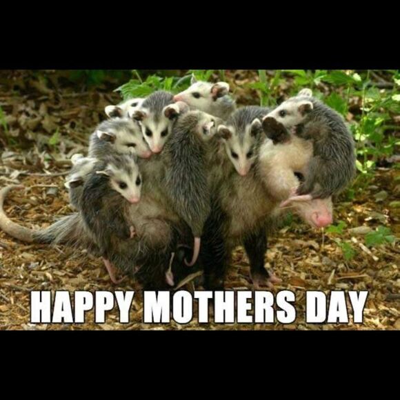 Come look at these if u need a giggle today - Picture 8 of 14